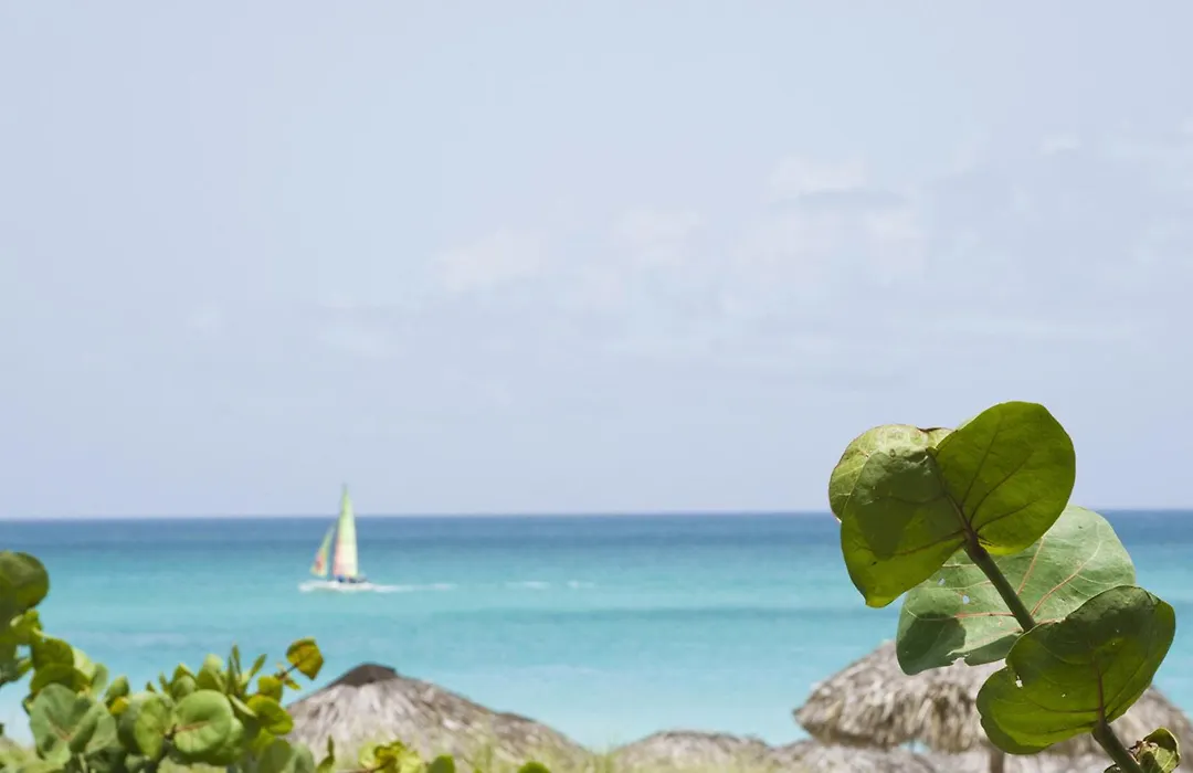 Blau Varadero Hotel - Adults Only-1